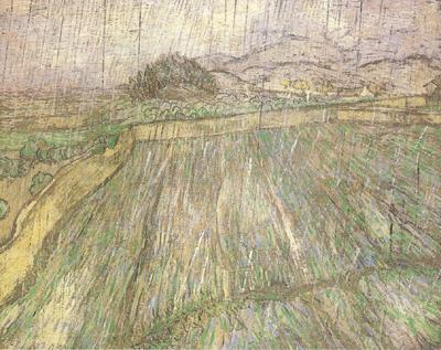 Vincent Van Gogh Wheat Field in Rain (nn04) oil painting picture